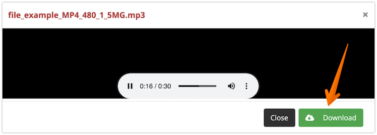 Click on the Download button