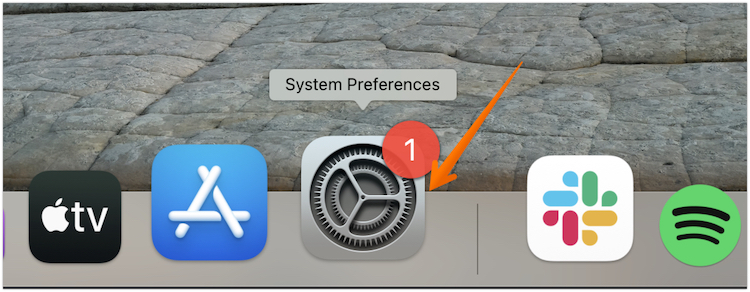 Open System Preferences