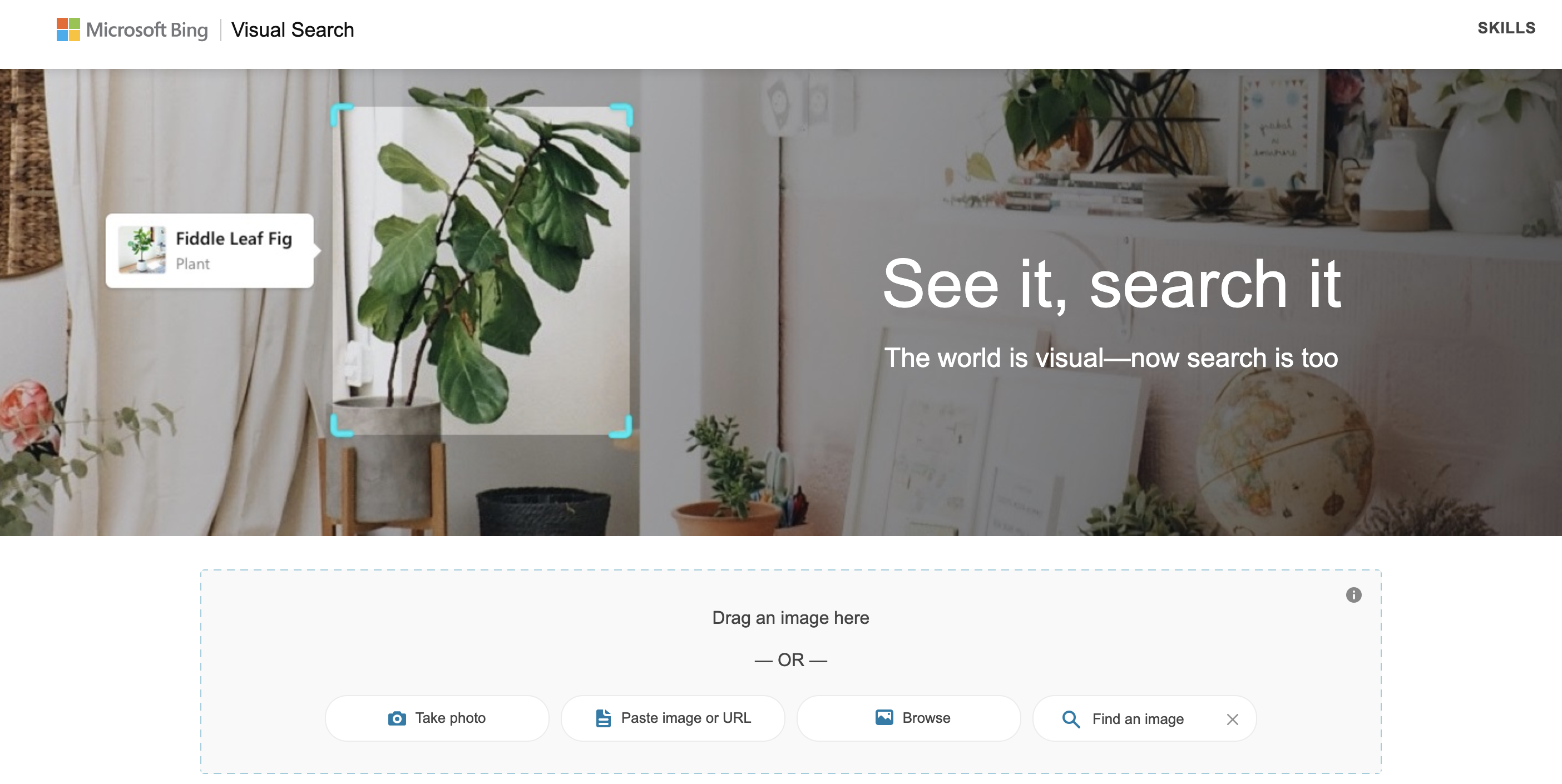 Bing Visual Search Engine