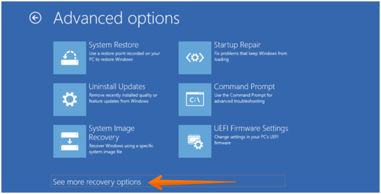 Click on See More Recovery Options