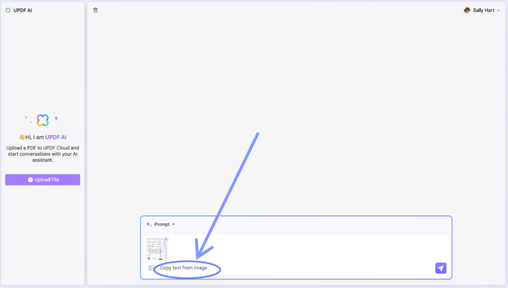 enter the prompt to copy text from image mac updf online ai